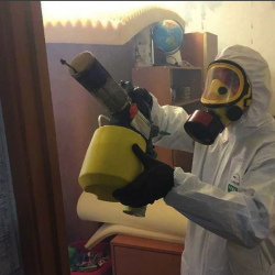 Уничтожение клопов в квартире. Международная